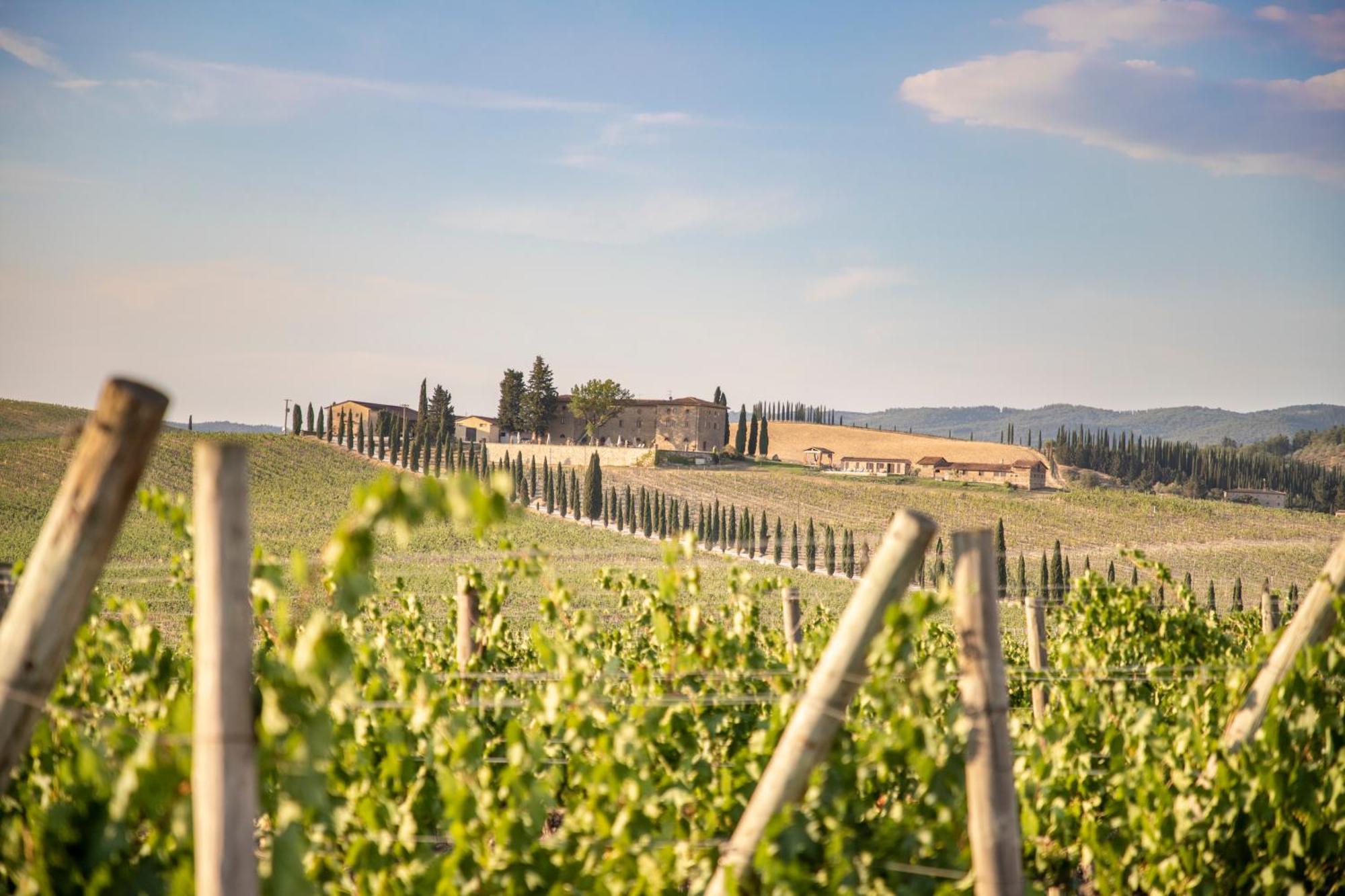Agriturismo Casale Dello Sparviero Кастелина ин Шианти Экстерьер фото