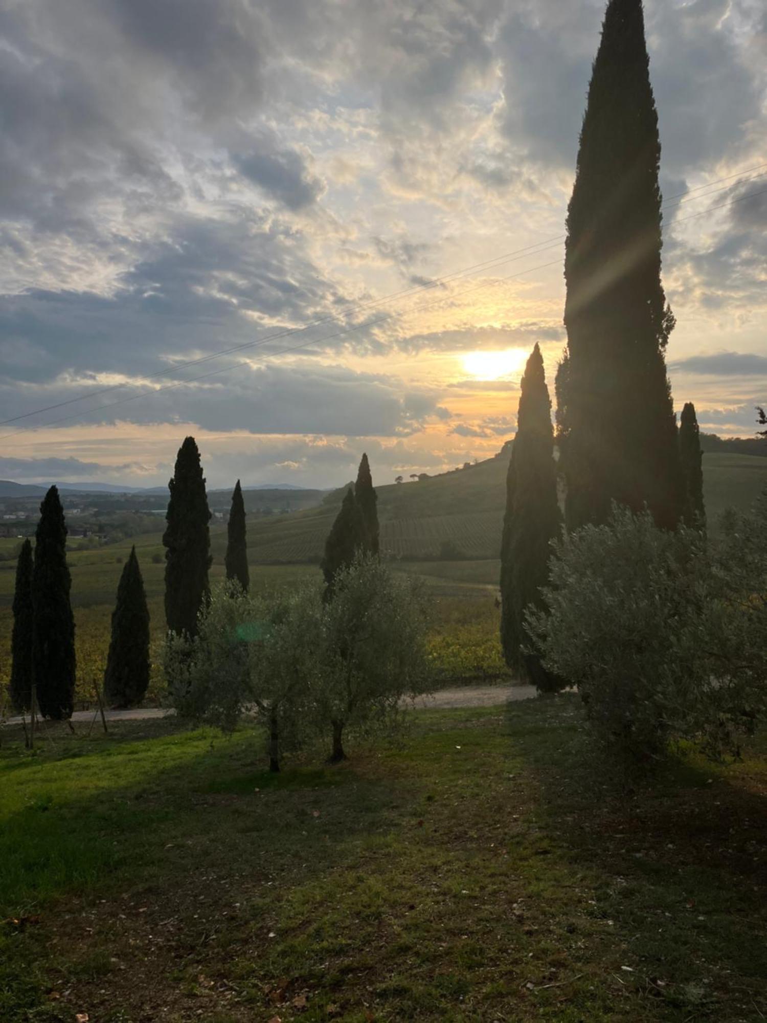 Agriturismo Casale Dello Sparviero Кастелина ин Шианти Экстерьер фото