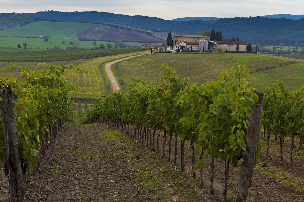 Agriturismo Casale Dello Sparviero Кастелина ин Шианти Экстерьер фото