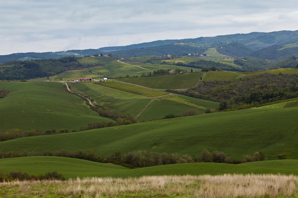Agriturismo Casale Dello Sparviero Кастелина ин Шианти Экстерьер фото